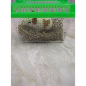 Fuss Free Guinea Pig